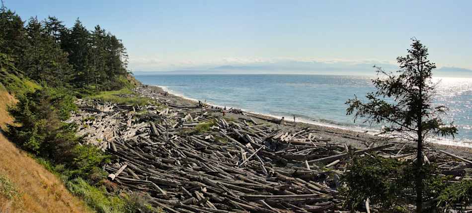 Fort Ebey State Park
