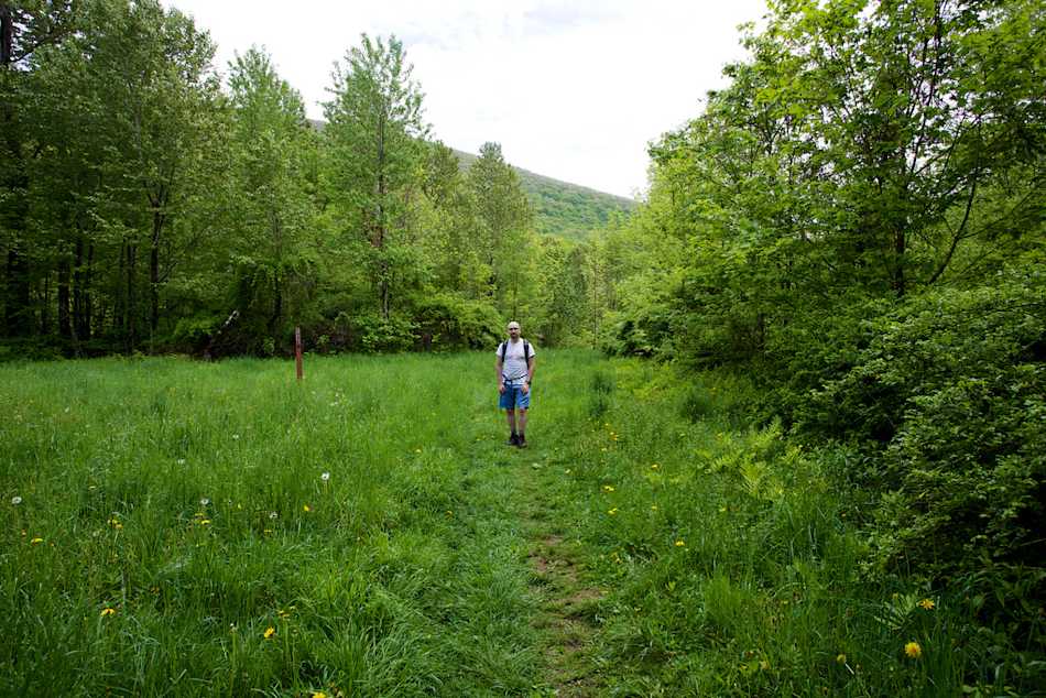 Mount Greylock State Reservation