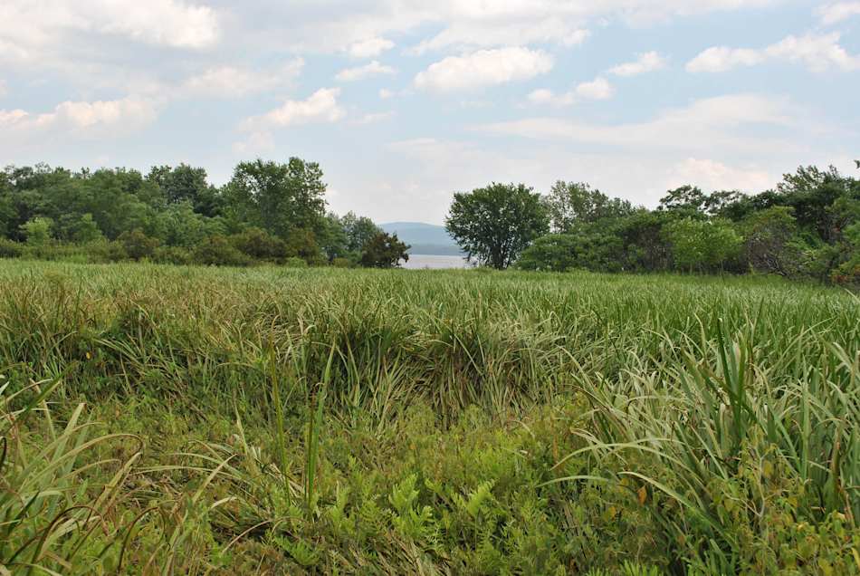 Burton Island State Park