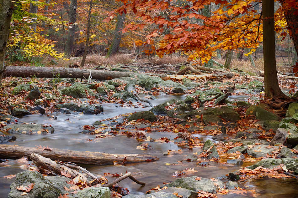 Cunningham Falls State Park
