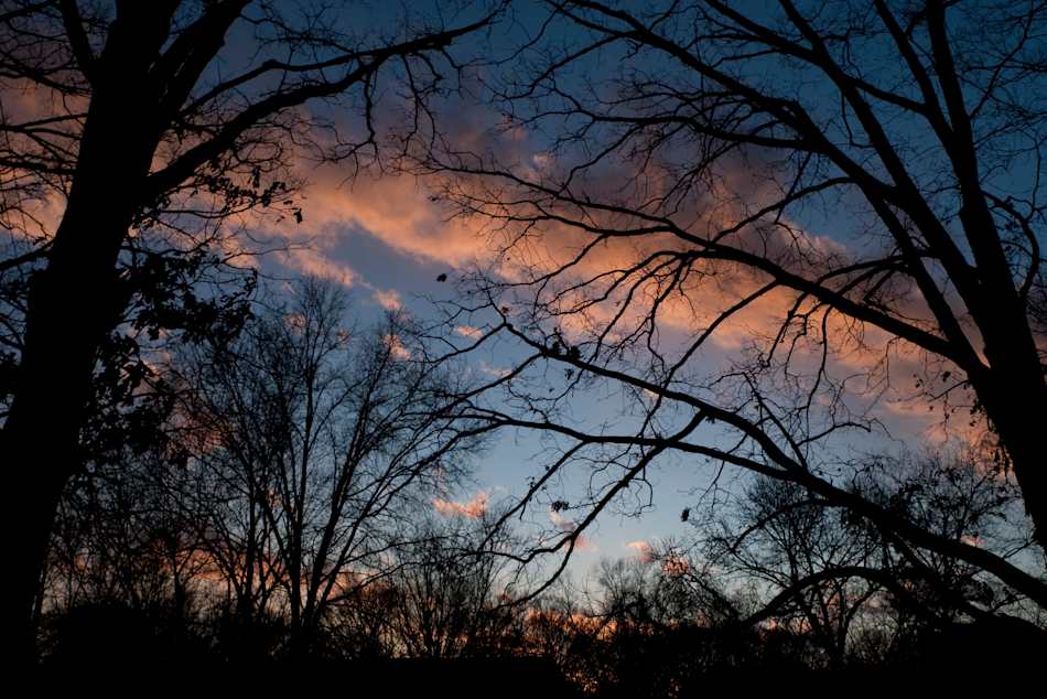 Greenbelt Park