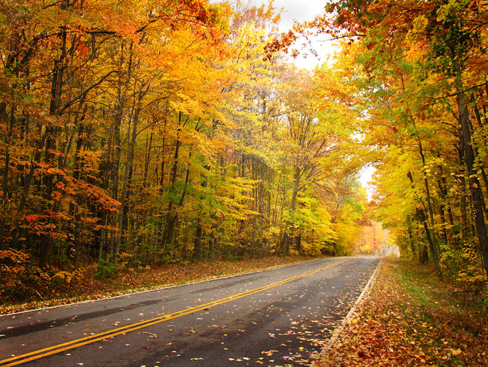Geneva State Park