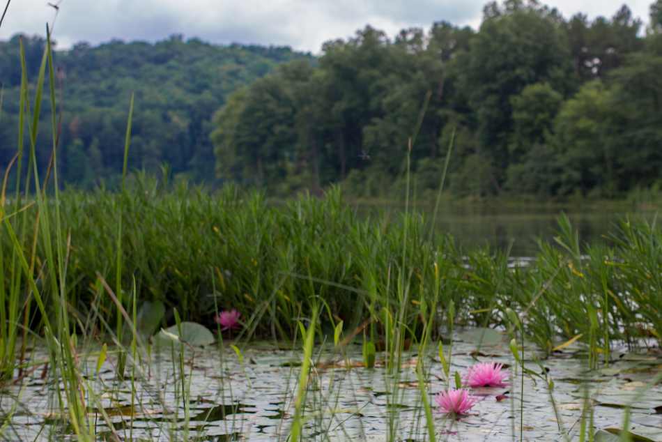 Lake Hope State Park
