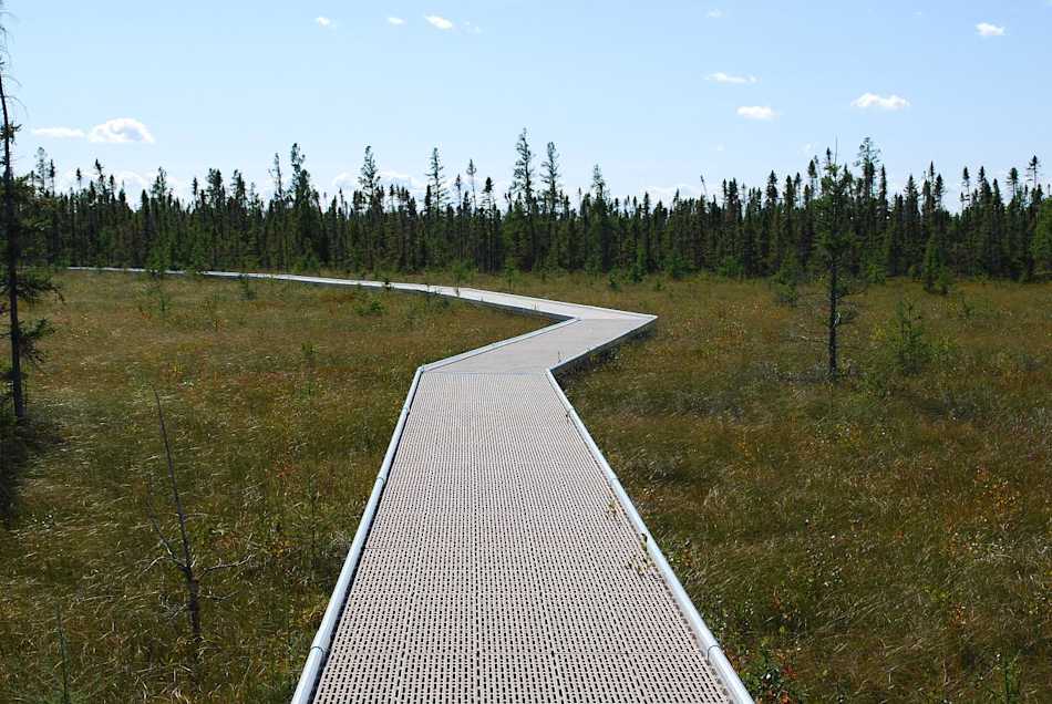 Big Bog State Recreation Area