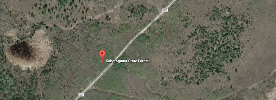 Kabetogama State Forest
