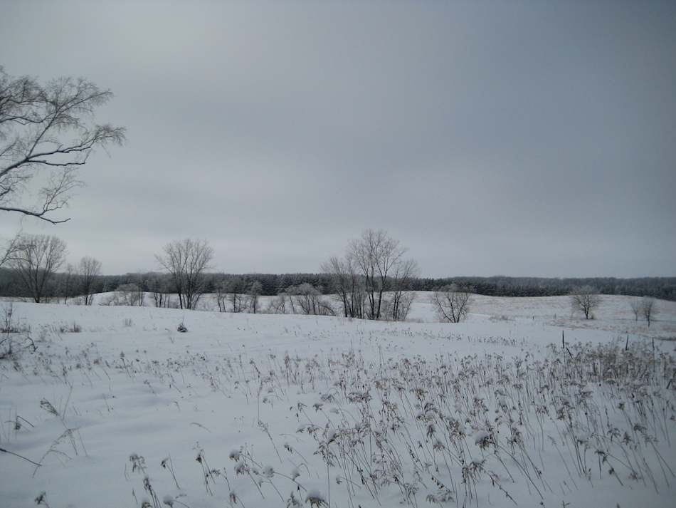 Lake Carlos State Park