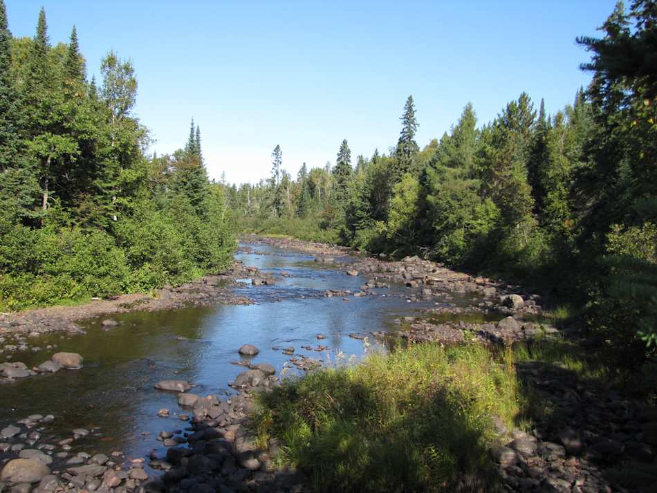 Superior National Forest