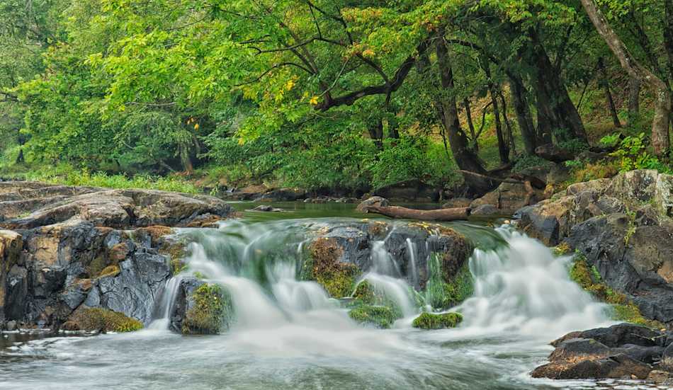 Eno River State Park