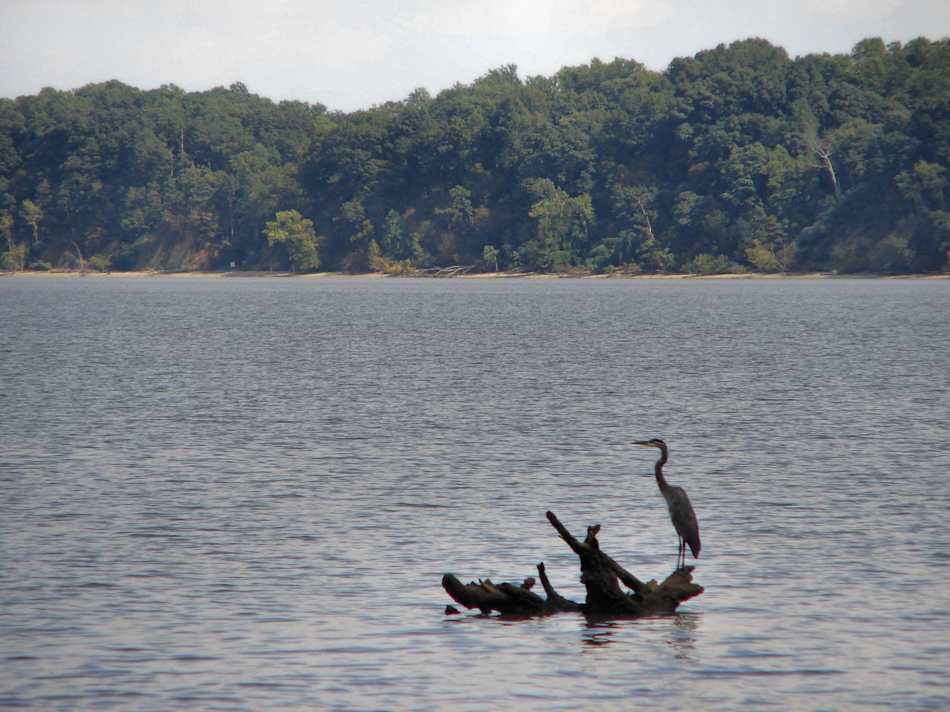 Chippokes Plantation State Park