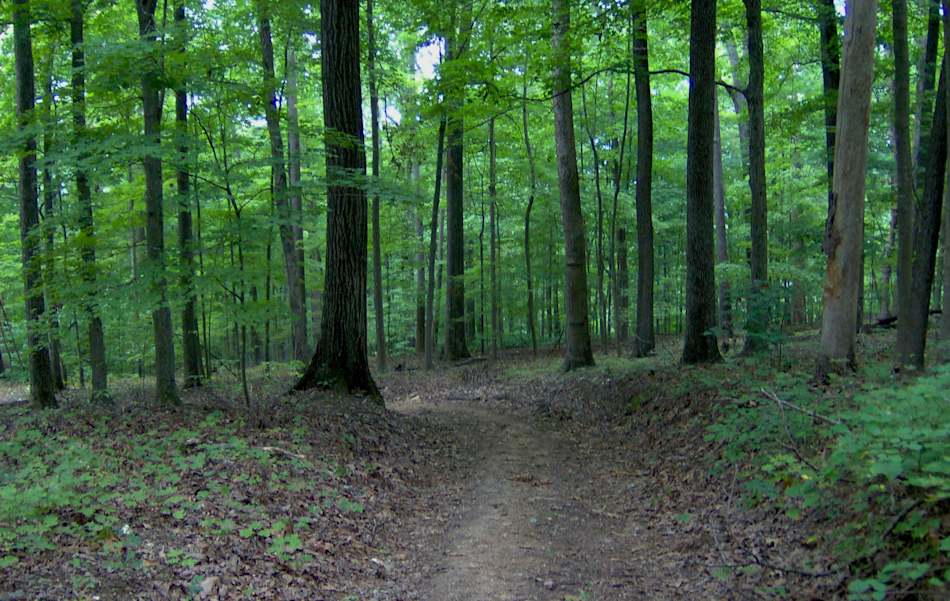 Norris Dam State Park
