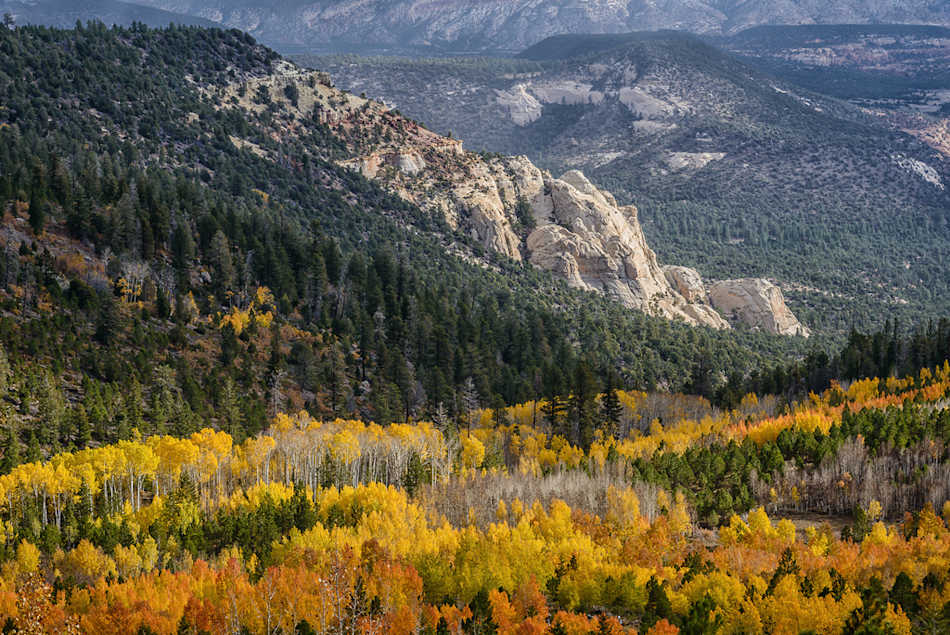 Fishlake National Forest