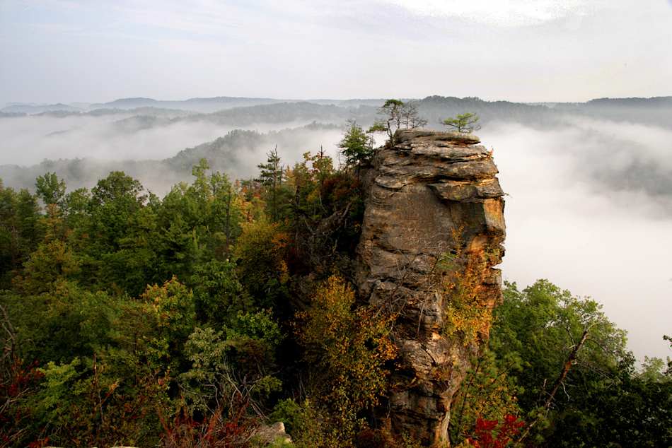 Natural Bridge State Resort Park
