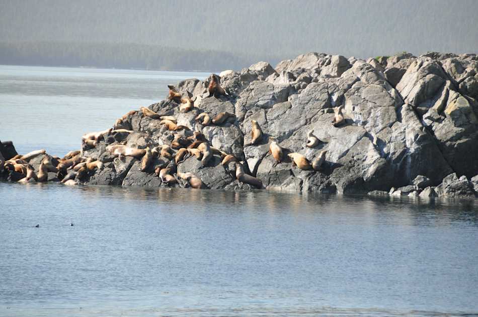 Sealion Cove State Marine Park