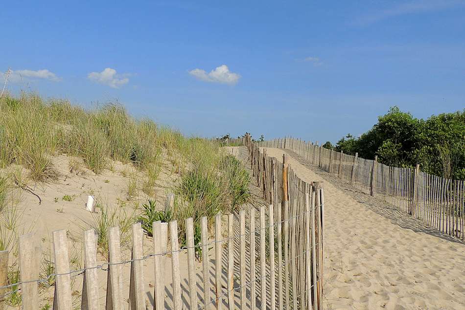 Headed to the beach at Cape Henlopen. 