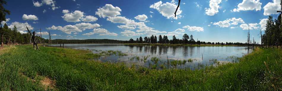 Kaibab National Forest