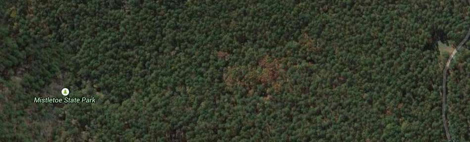 Mistletoe State Park
