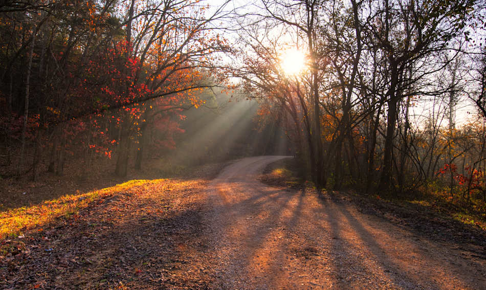 Mark Twain National Forest