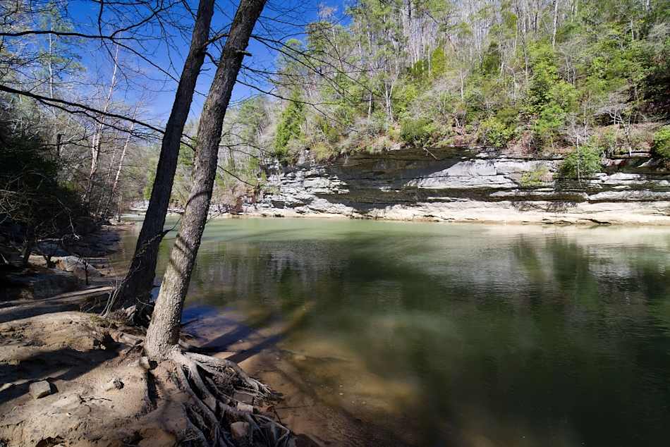Bankhead National Forest