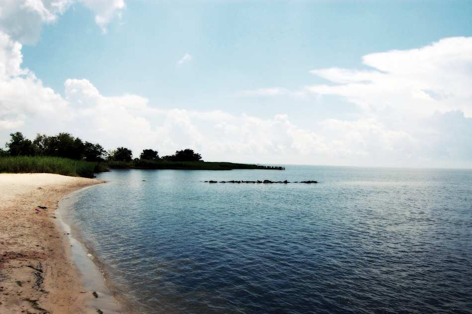 Fontainebleau State Park