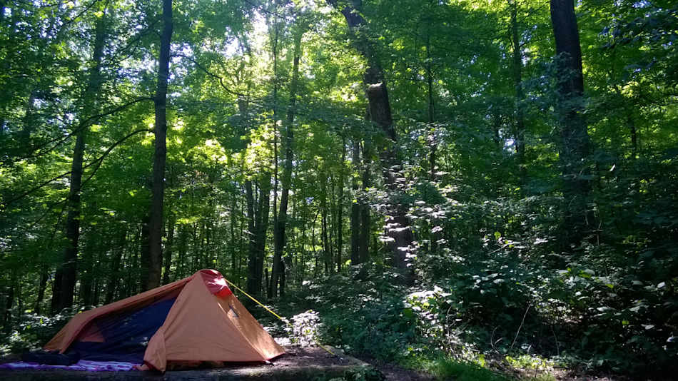 Sunset in the woods.