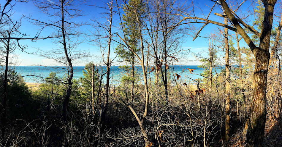 Dune top view was amazing! You could see the Chicago skyline 
