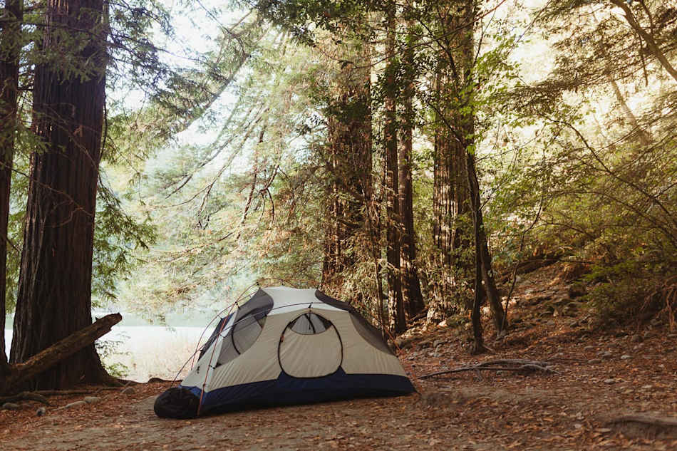 The best campsite among giant Redwoods and close to the river. 