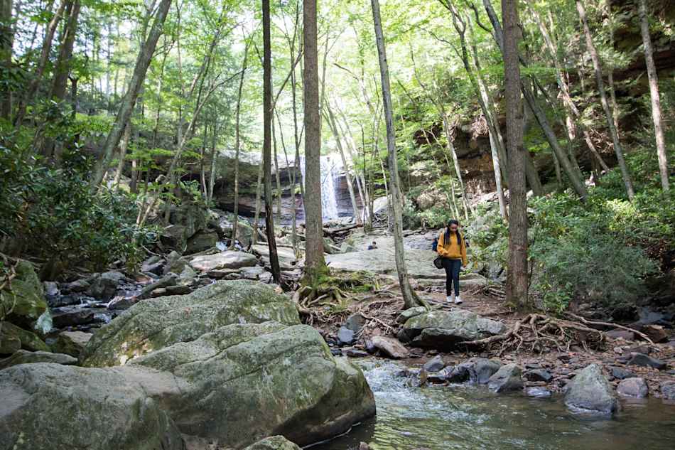 Ohiopyle State Park