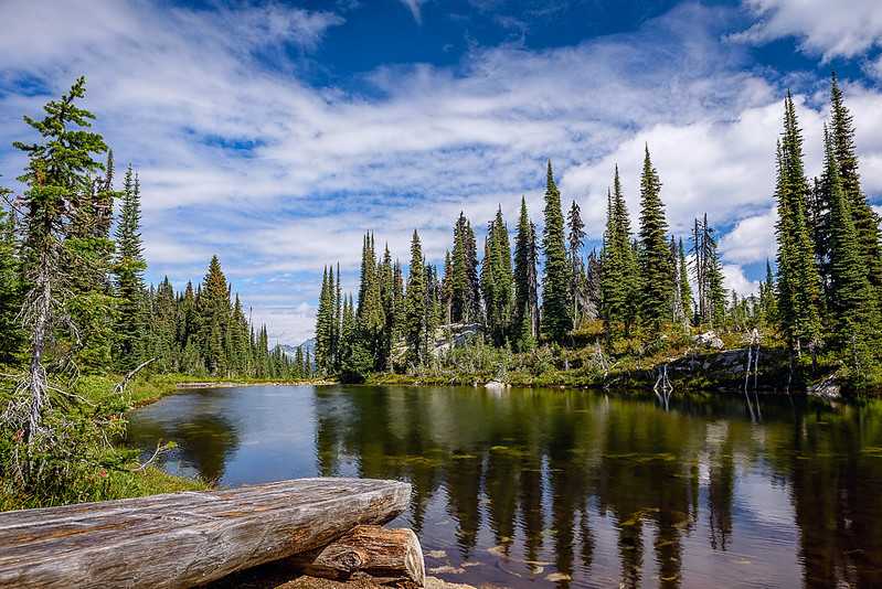 Mount Revelstoke National Park