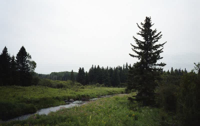 Riding Mountain National Park