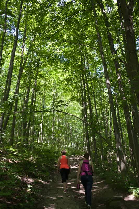Rouge National Park