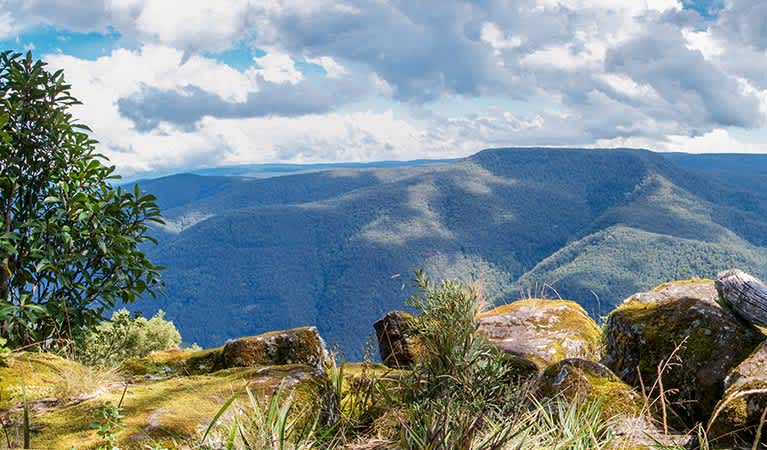 Barrington Tops National Park