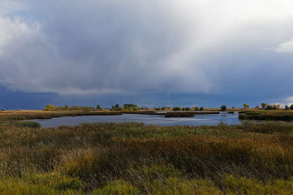 Kinbrook Island Provincial Park