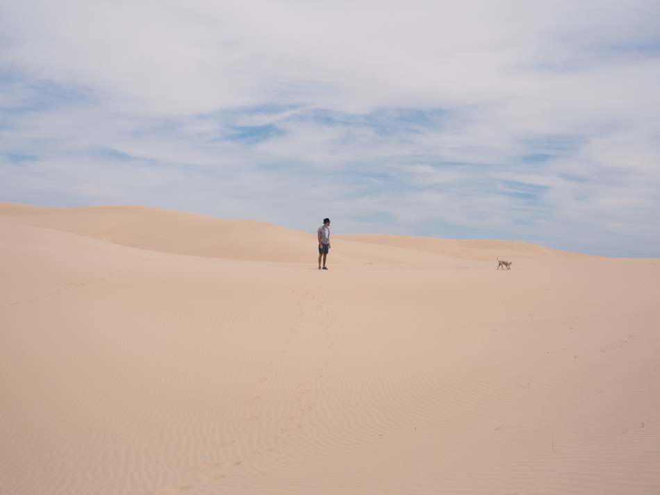 Monahans Sandhills State Park