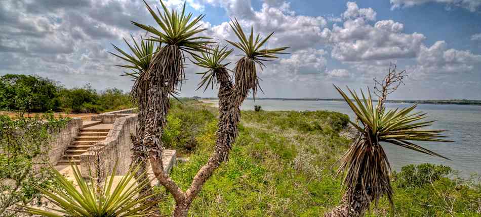 Lake Corpus Christi State Park