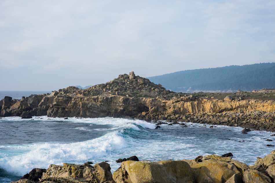 Salt Point State Park