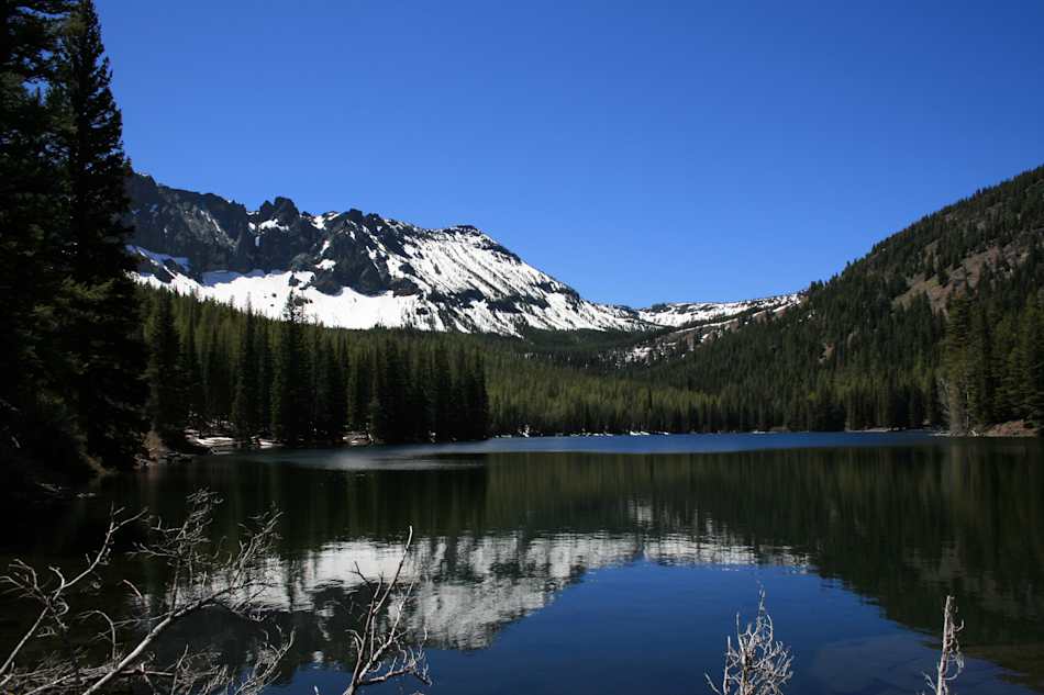 Malheur National Forest