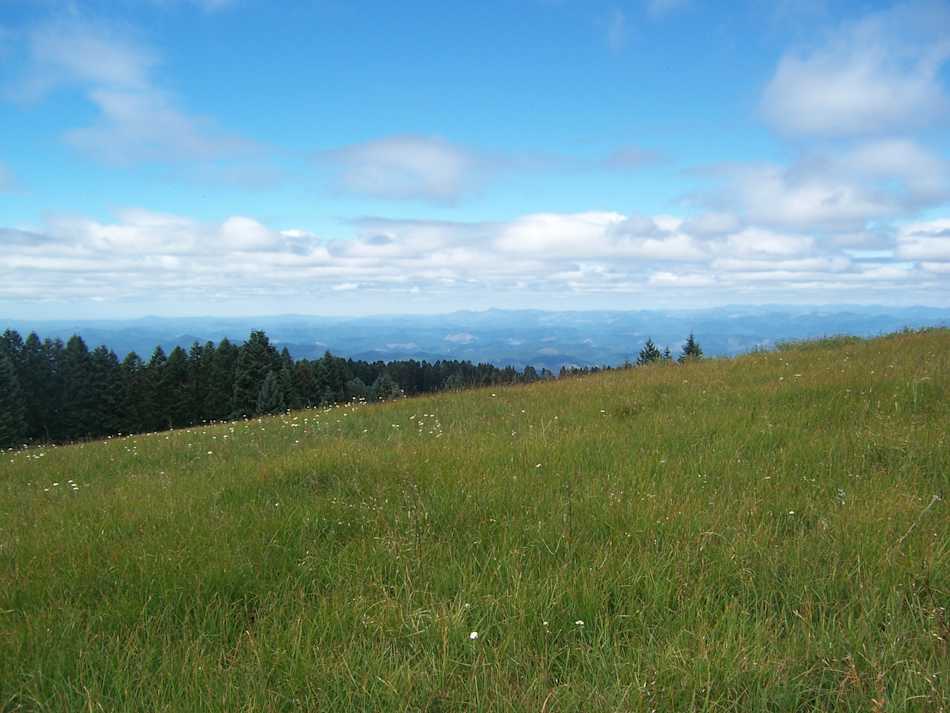 Siuslaw National Forest