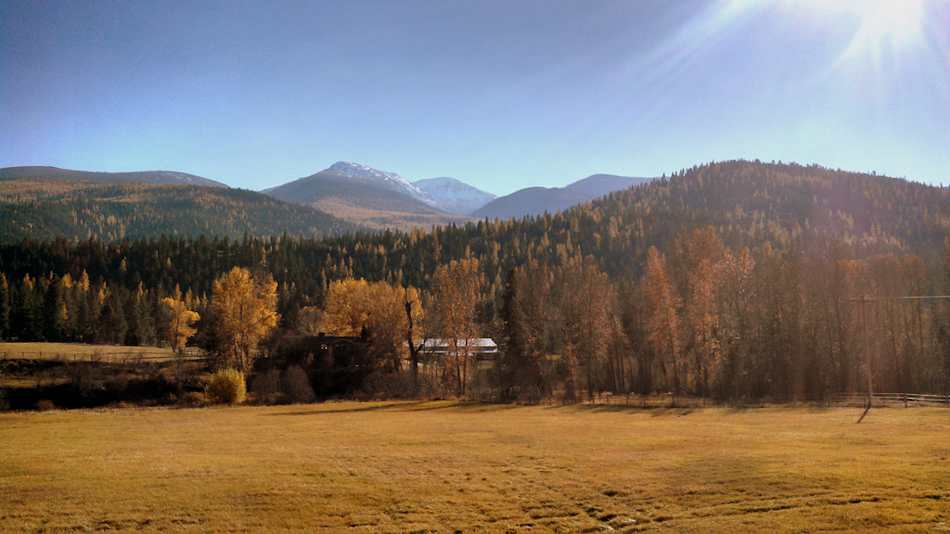 Lolo National Forest