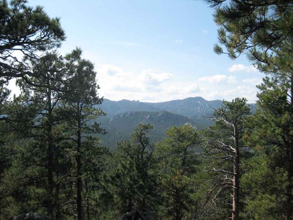 Black Hills National Forest