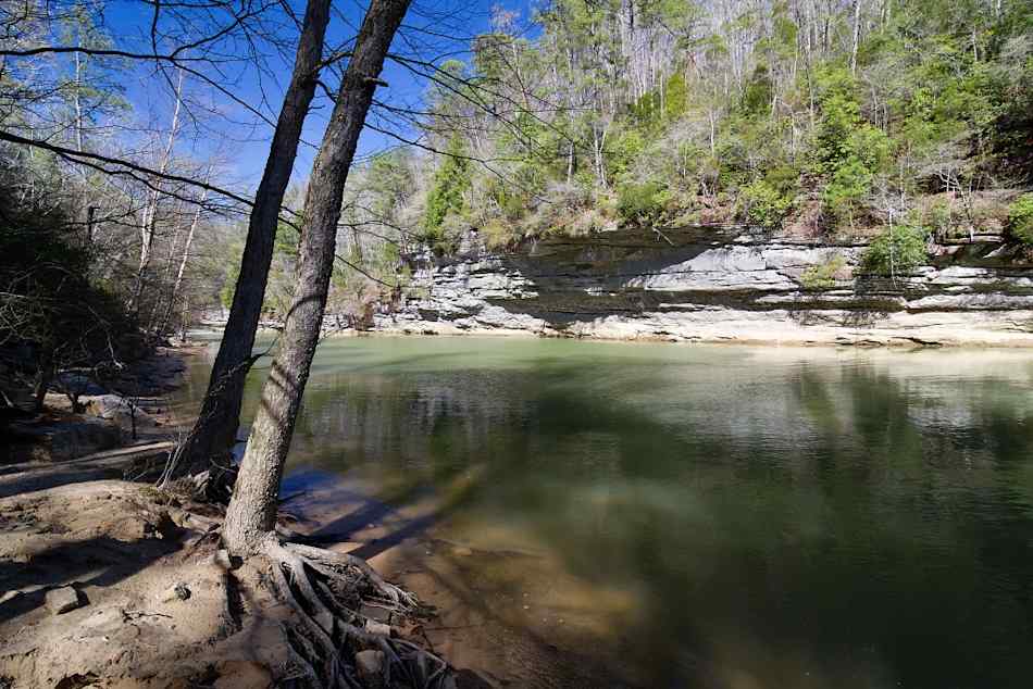 Bankhead National Forest