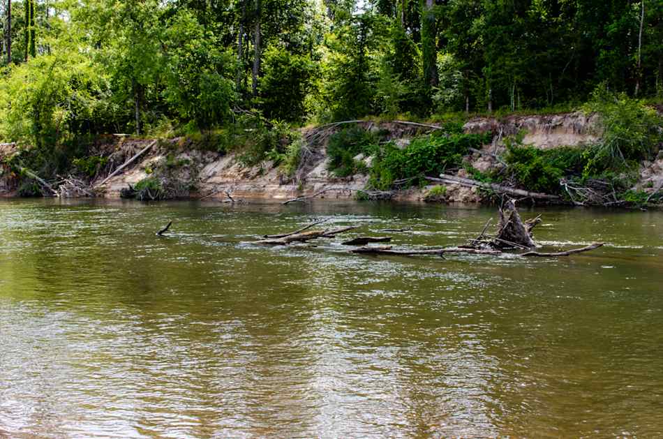 Bogue Chitto State Park