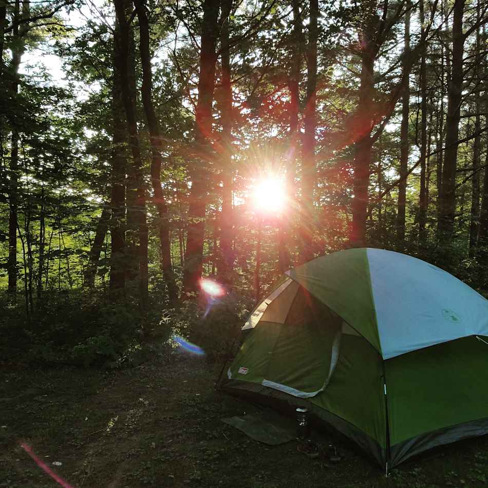My camp site at dusk.  From August 2016.