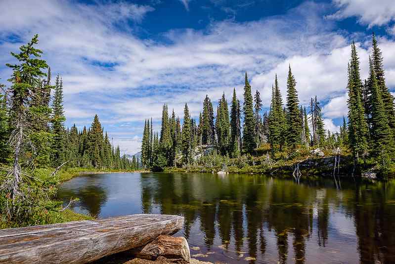 Mount Revelstoke National Park