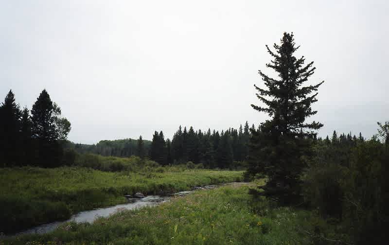 Riding Mountain National Park