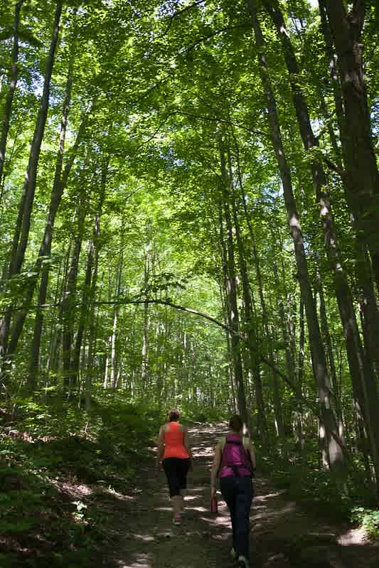 Rouge National Park