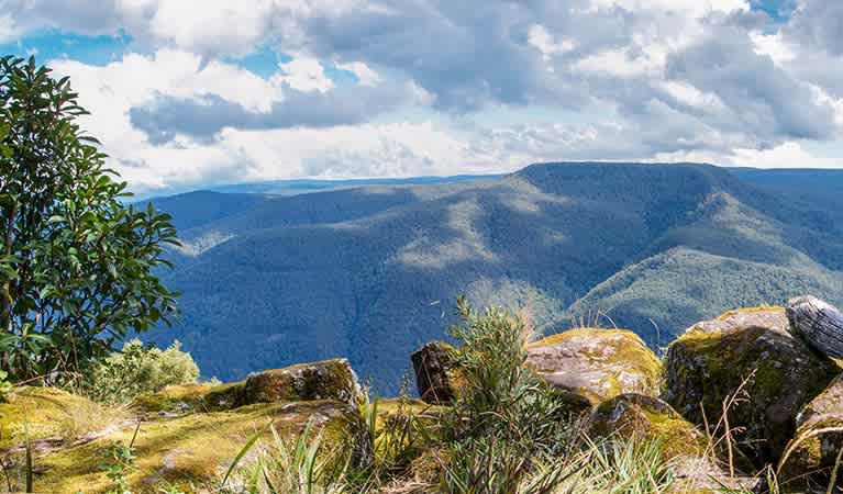 Barrington Tops National Park