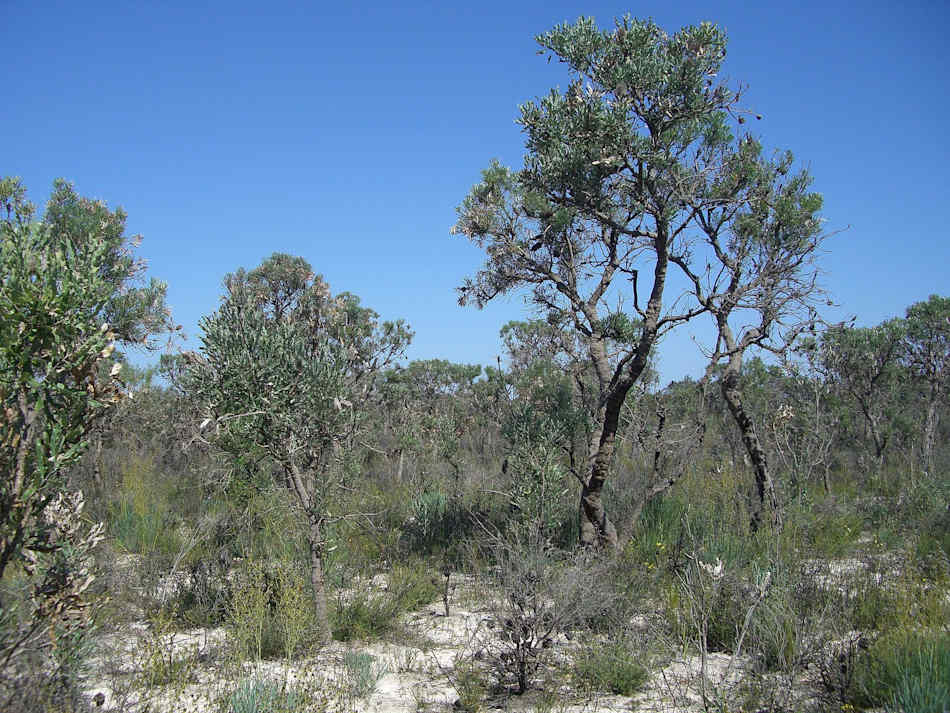 Moore River National Park