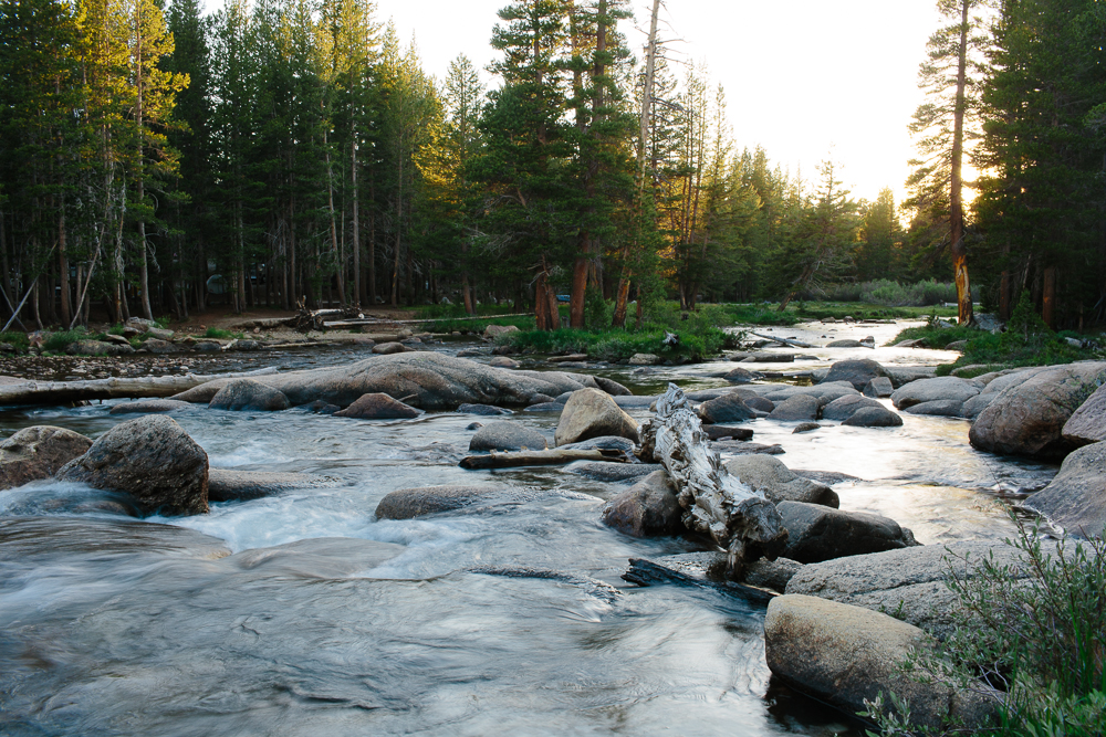 Tuolumne Meadows Campground